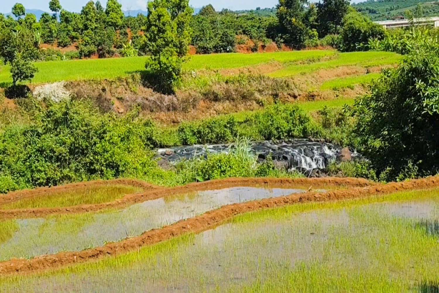 Hồ Thác Ba Chư Păh