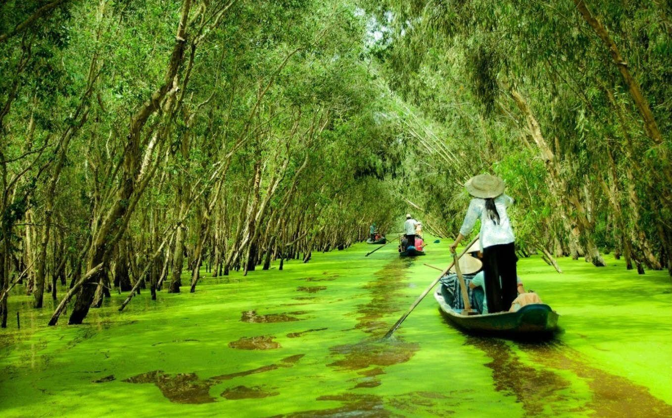 Trải Nghiệm Thiên Nhiên Kỳ Thú Tại Rừng Quốc Gia U Minh Thượng