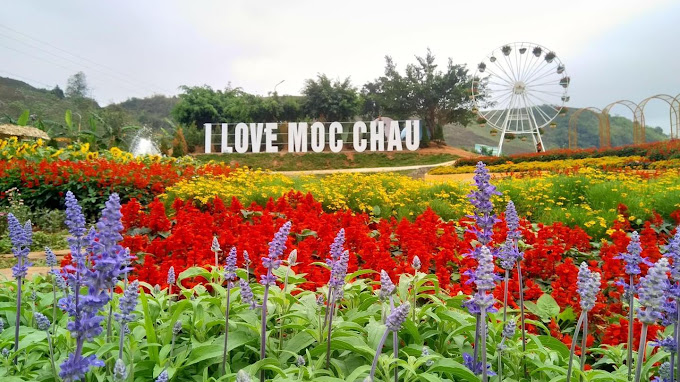 Mộc Châu Happy Land.