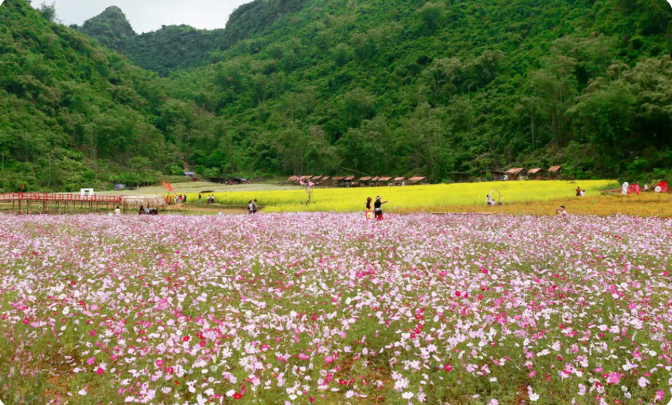 The valley is filled with colorful flowers