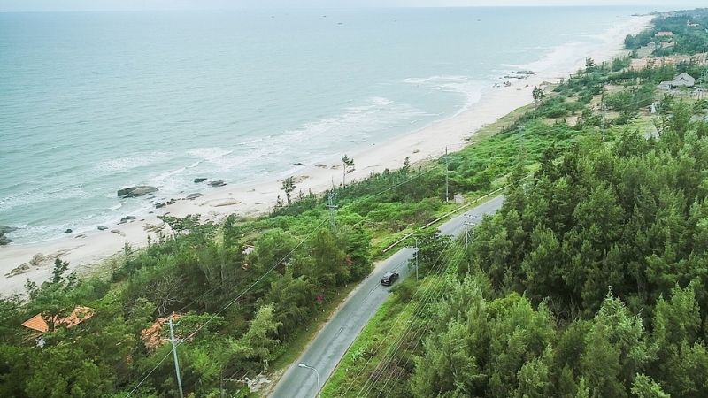 Binh Chau primeval forest - aerial view