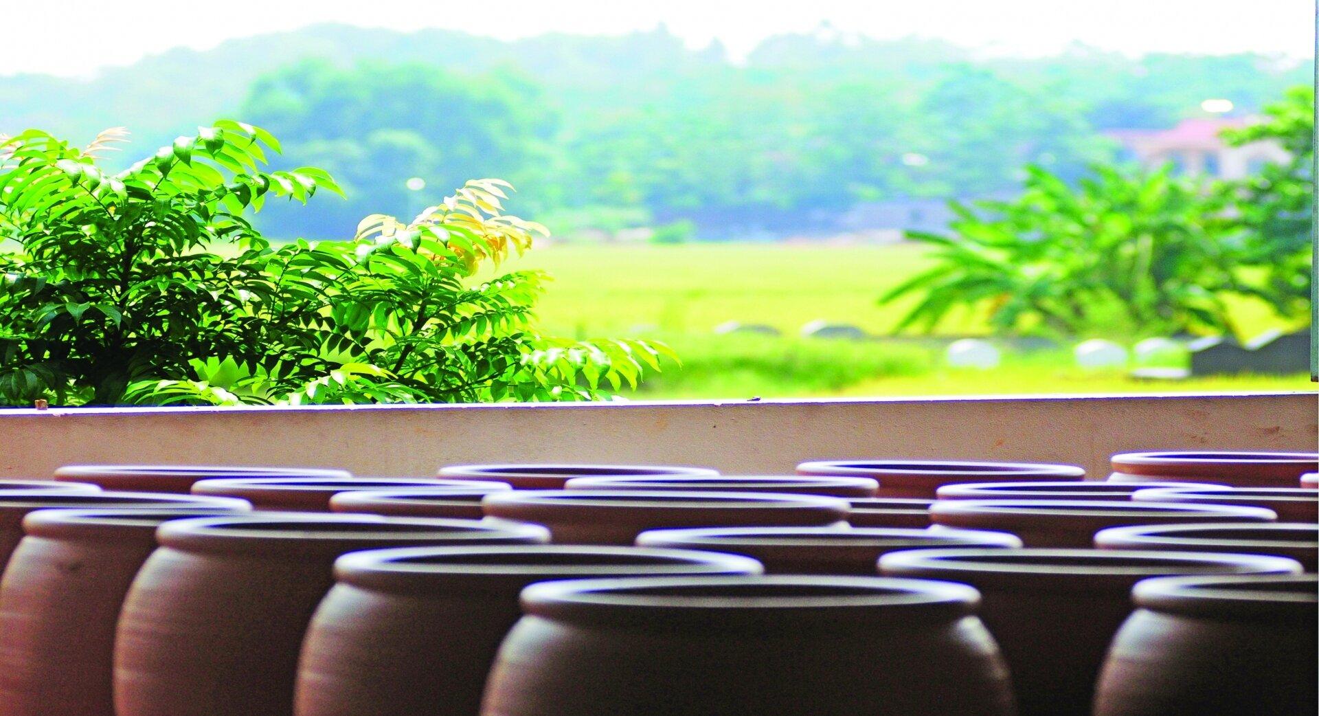 Famous Vietnamese traditional pottery village Phu Lang