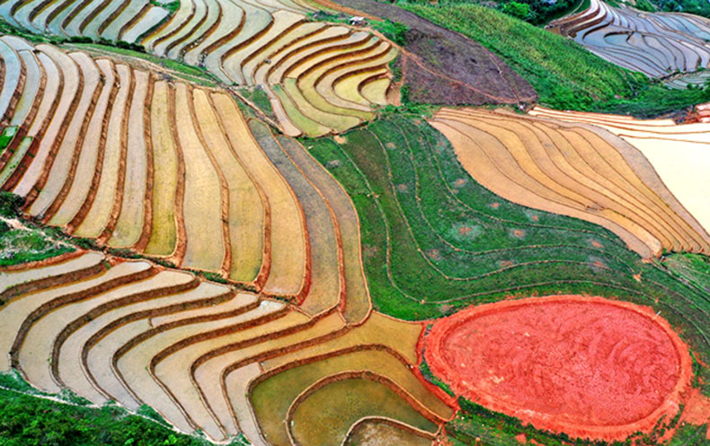 Phong Du Thuong梯田——西北地区新的旅游目的地。