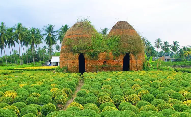 Pictures of Cai Mon flower village