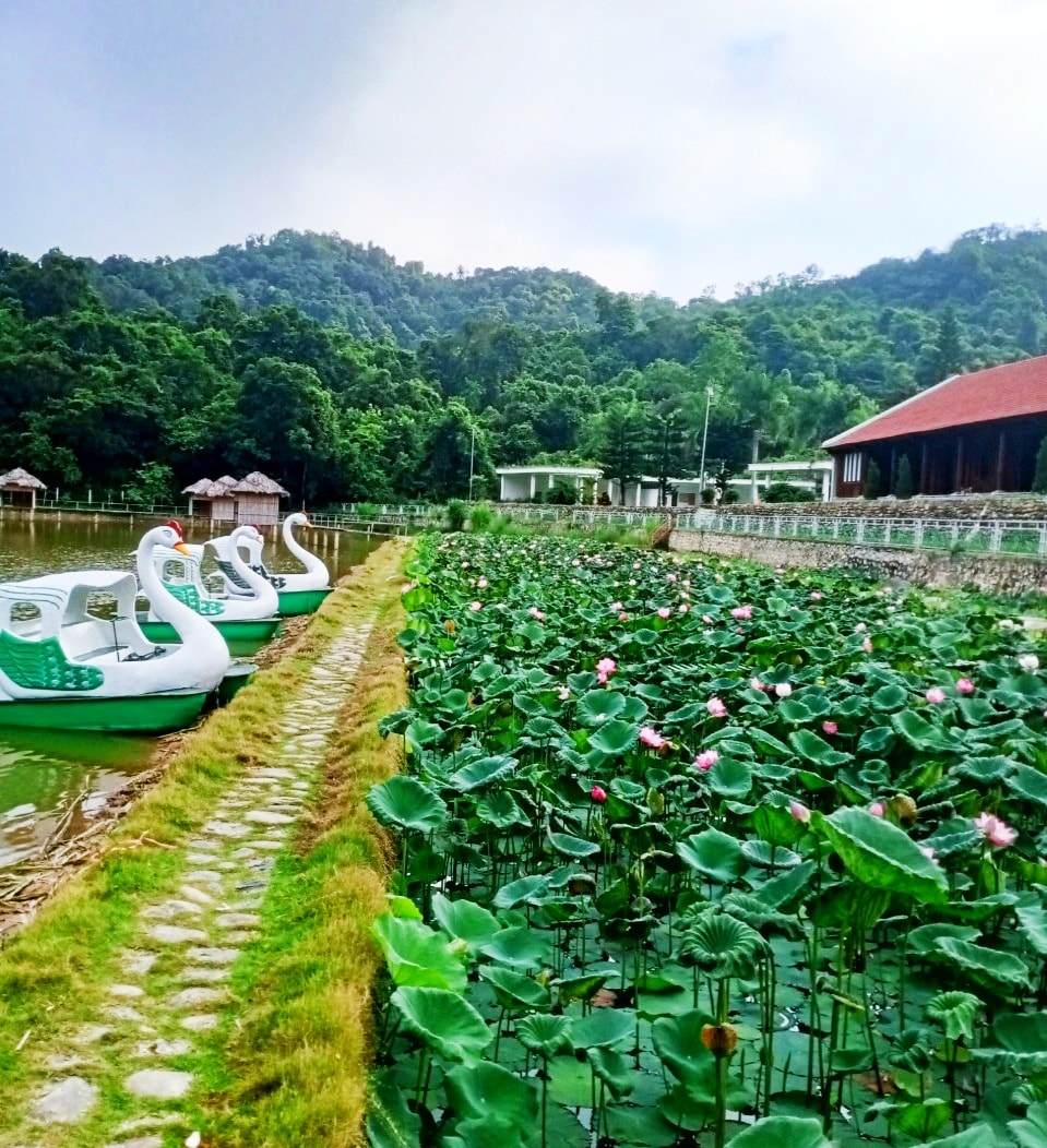 U Va Hot Mineral Resort 的莲花季节