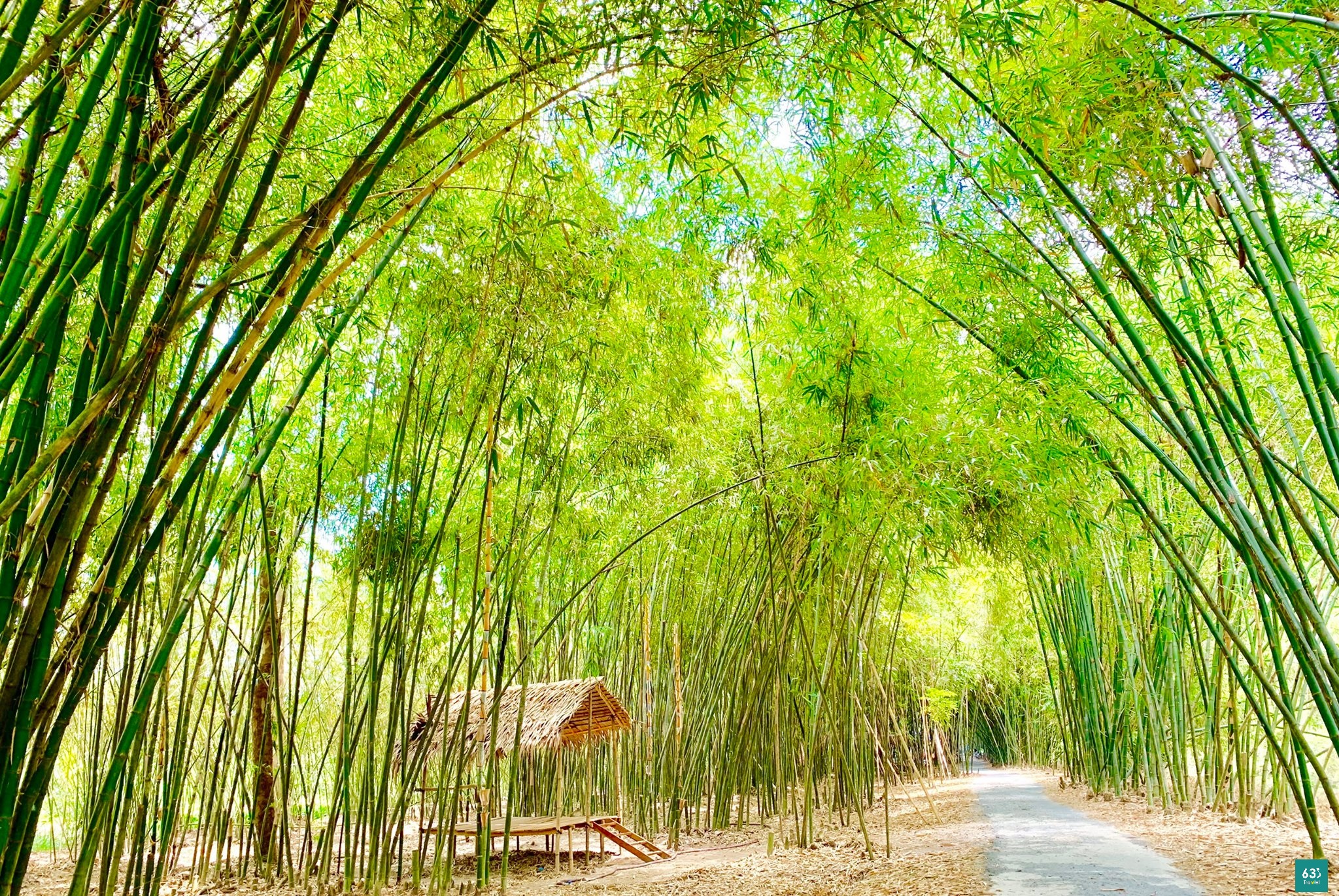 Bamboo Garden - Con đường tre tuyệt đẹp ở Hậu Giang