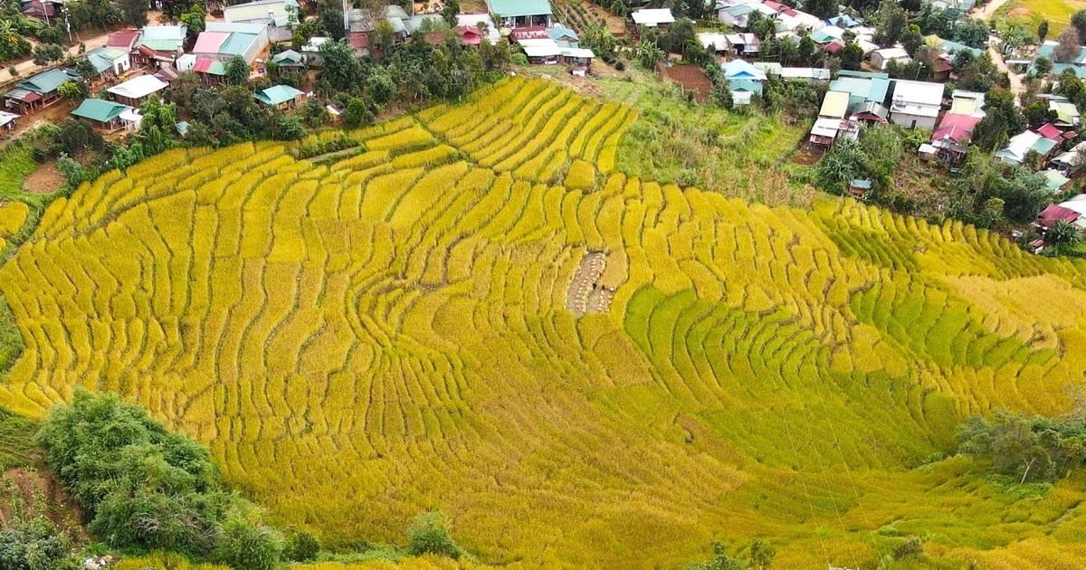 芒日梯田不像西北梯田那样雄伟雄伟，却有着高原土地特有的迷人风貌。