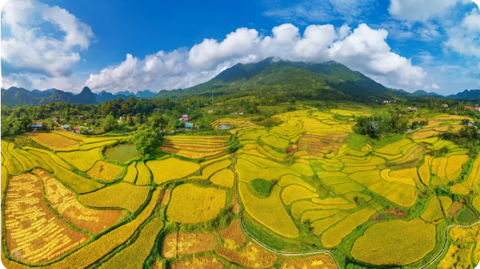 Bac Son Valley - Flower-colored paradise in Lang land