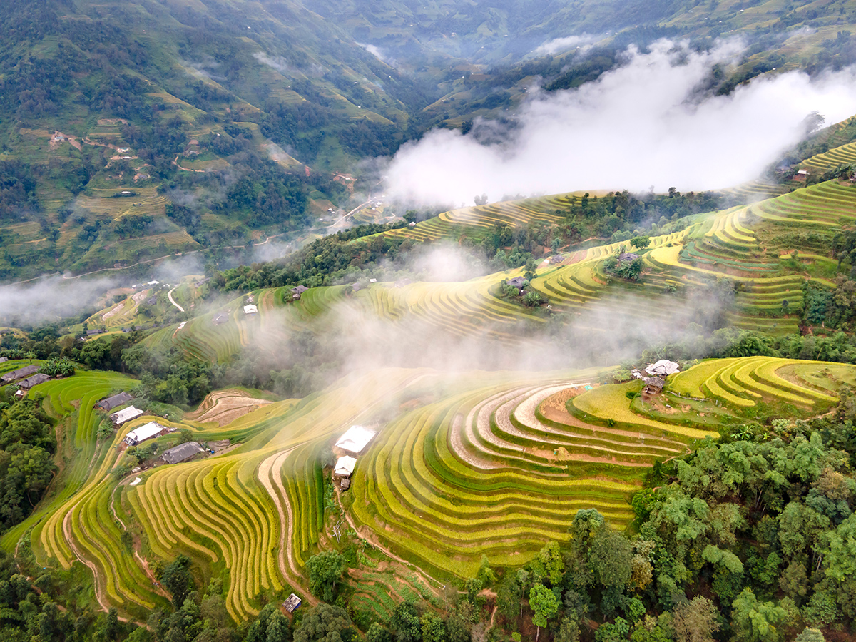 Khám phá Hoàng Su Phì: Tuyệt tác ruộng bậc thang giữa núi rừng Tây Bắc