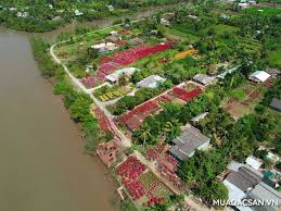 Miss Cai Mon garden, Lach market