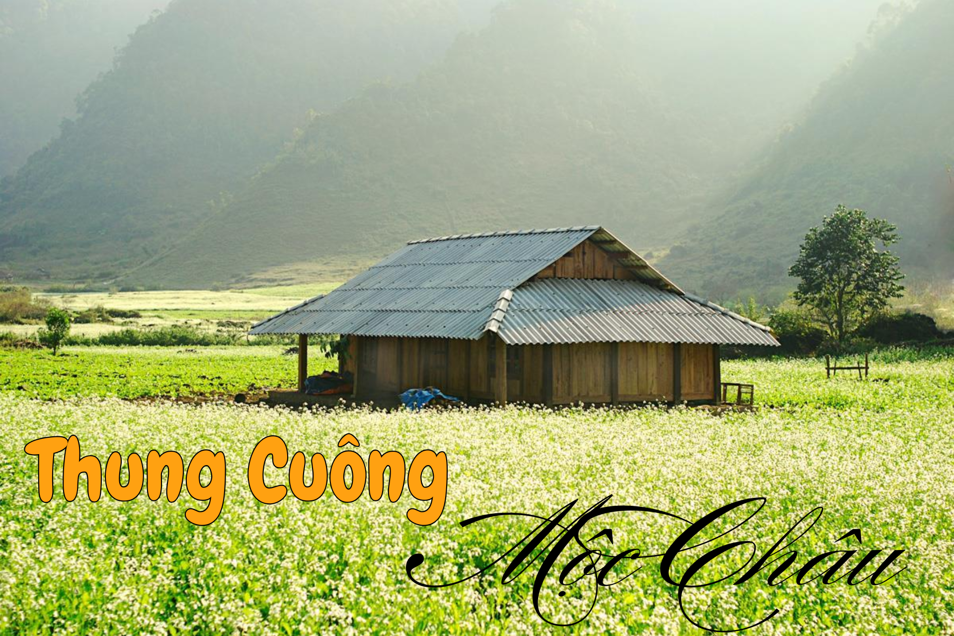 Kinh nghiệm khám phá Bản Thung Cuông ở Mộc Châu