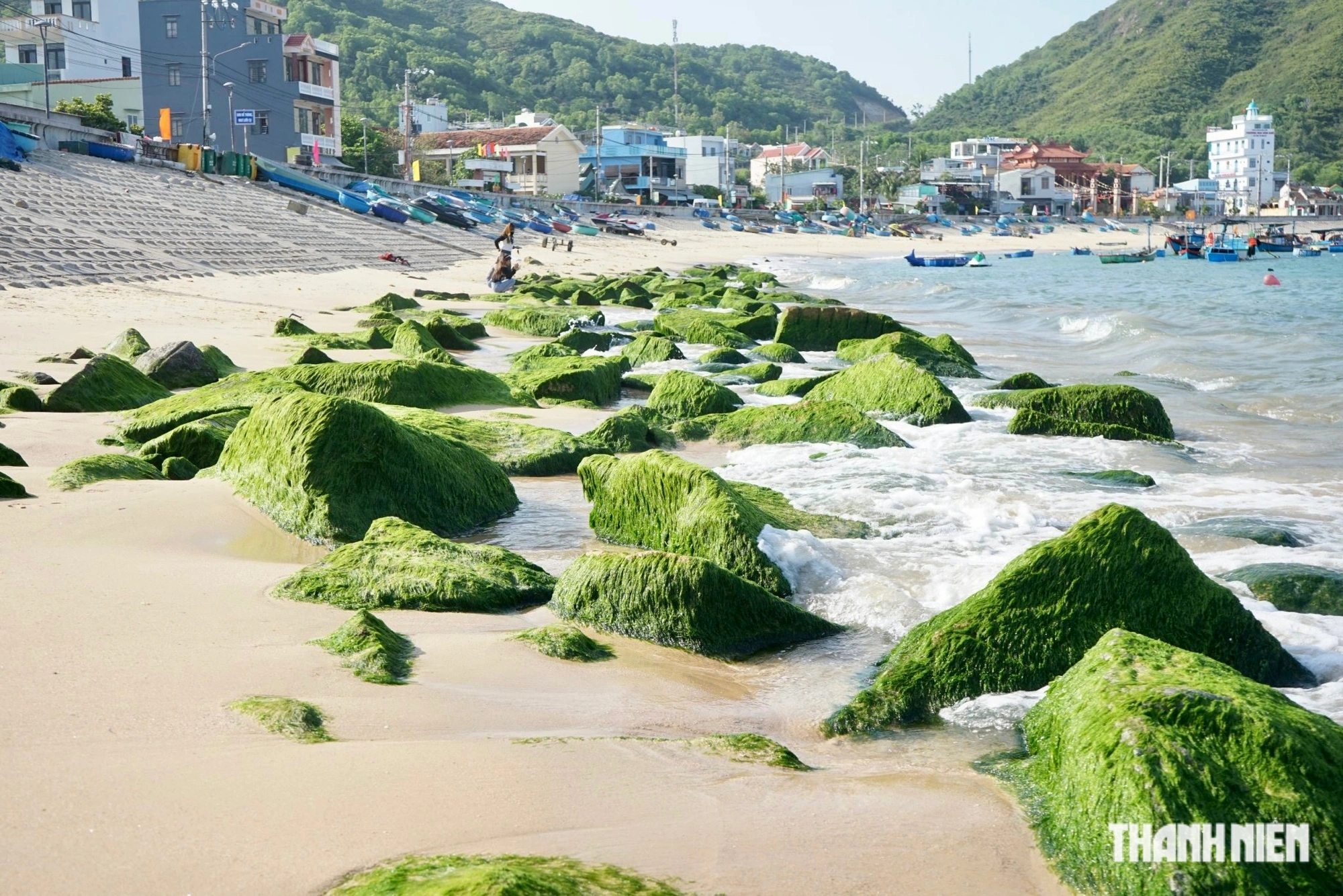 仁海苔藓海滩