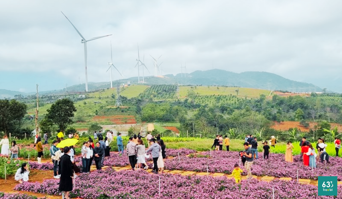 Có một Đà Lạt trong lòng Quảng Trị tại Khe Sanh