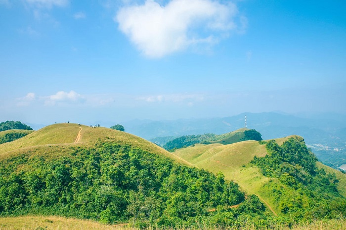 Sam Chiem steppe in Bac Kan with cool green color.