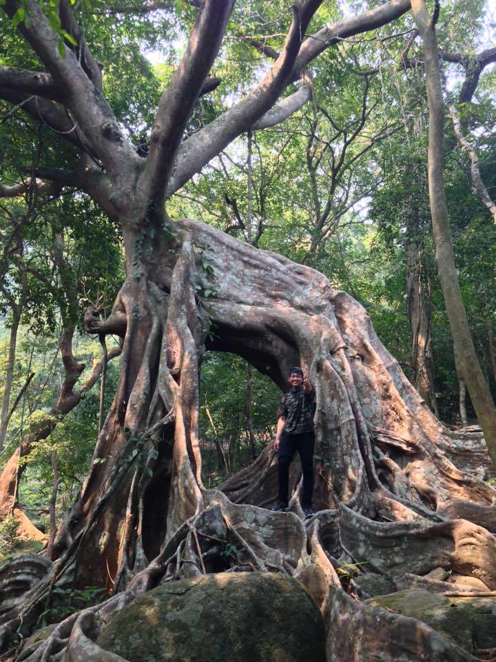 Nhat Lam Thuy Trang Tea