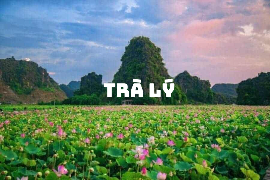 Tra Ly - Heal with nature