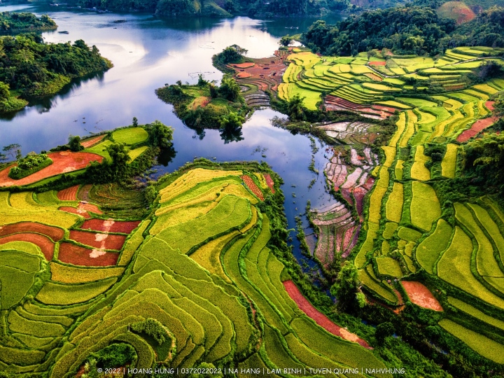 The view of fields gradually changing color in Hong Thuy commune from above.