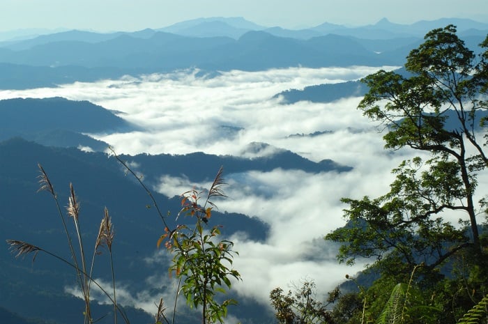 这里因其浪漫的风景和终年云雾缭绕而被称为广南省最美丽的山。