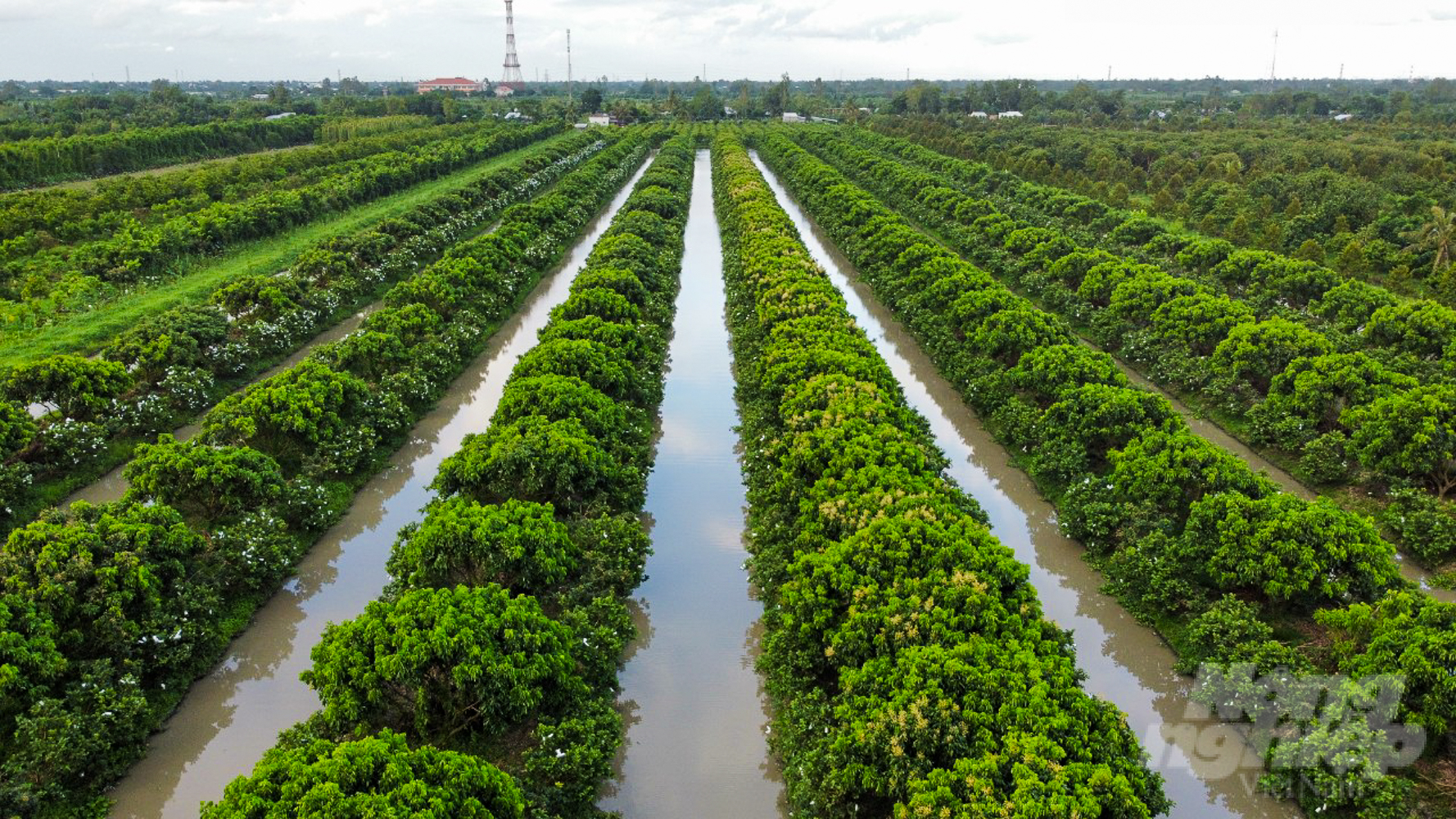 Song Hau Farm ecological area