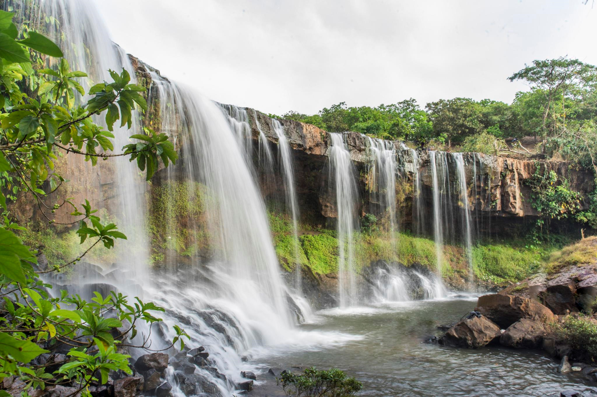 See the waterfall in the middle of the primeval forest