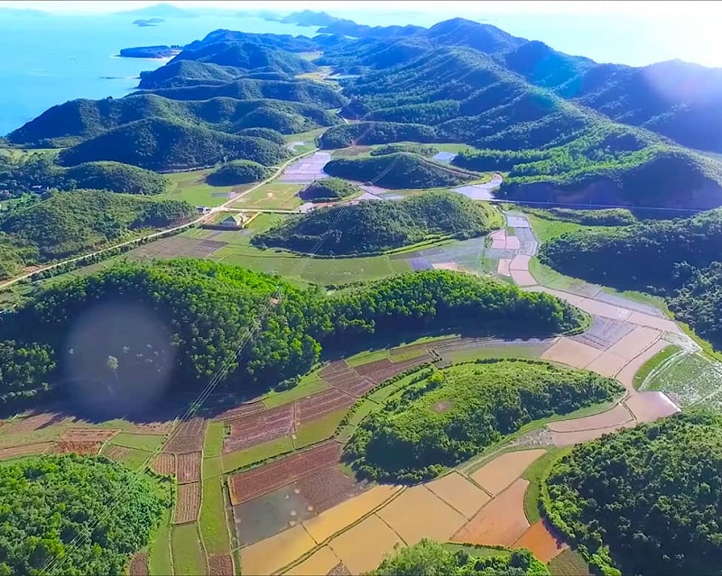 深入岛屿深处，是平坦的稻田