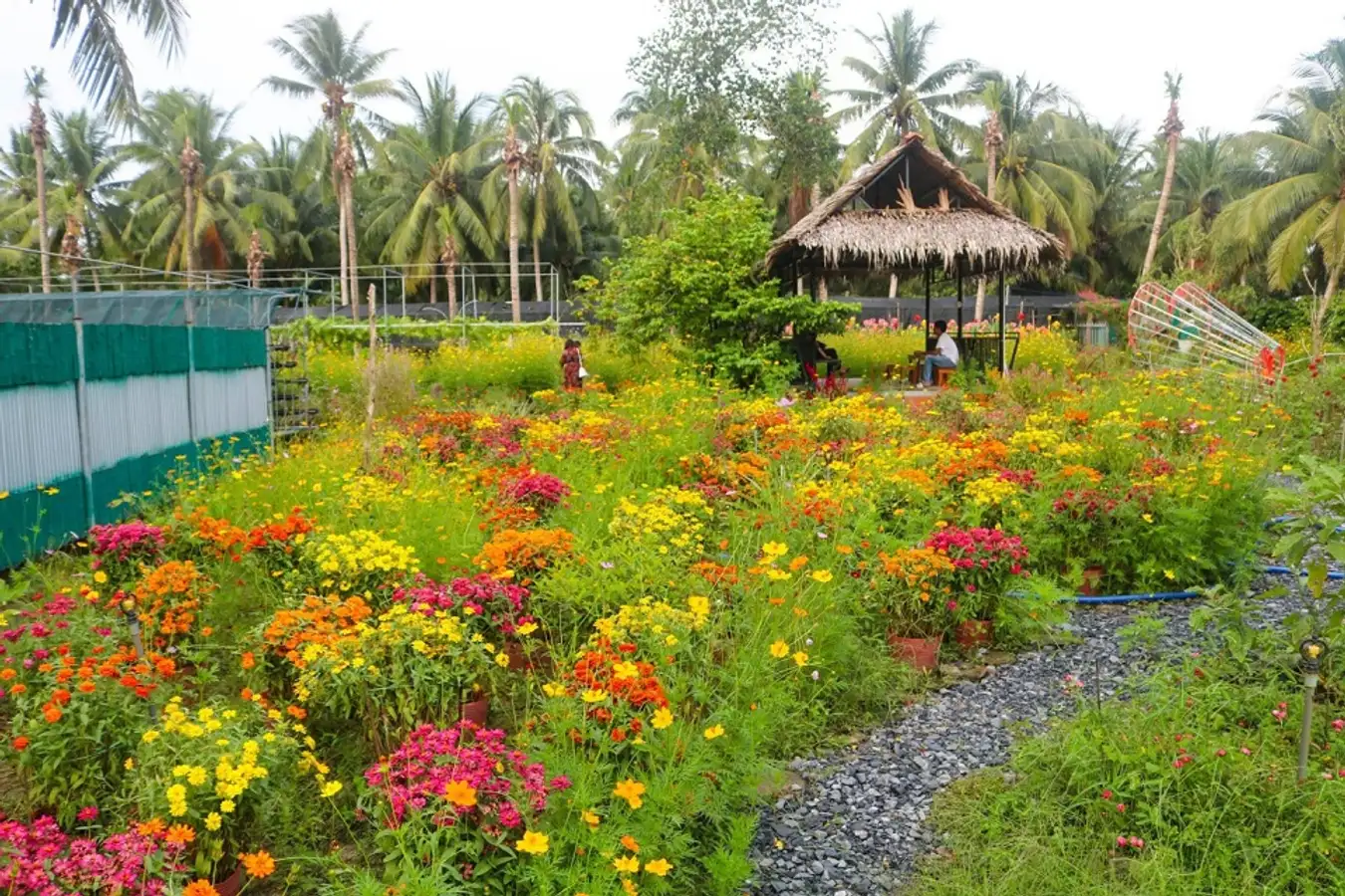 Ha Thao tourist area is a new ecological destination that is making waves in Ben Tre