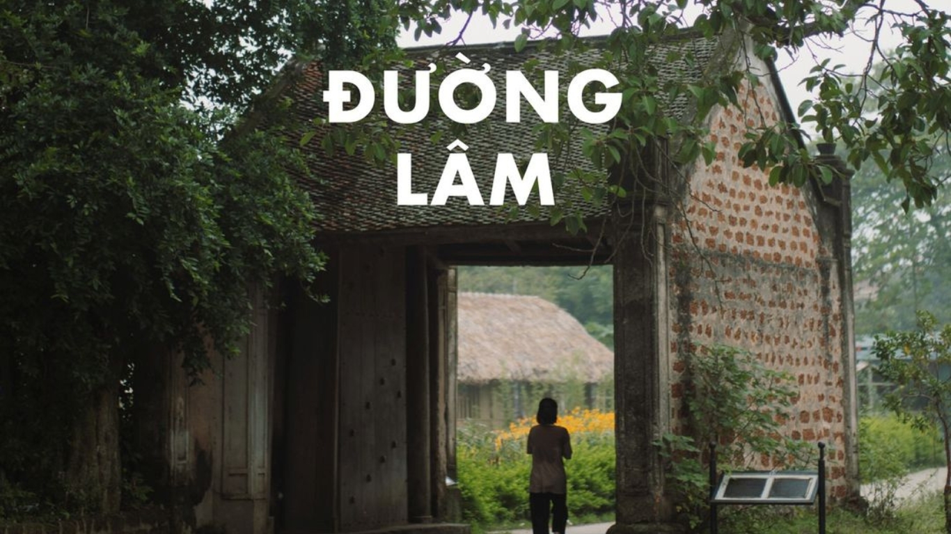 From Hanoi to Heritage: A Day in Duong Lam Ancient Village