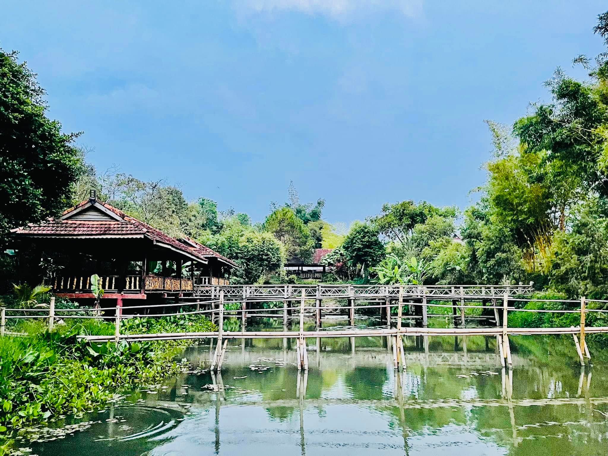 Tuy chỉ có diện tích khoảng 13 ha, nhưng Khu du lịch KoTam lại mang trong mình vô số các loại hoa đầy màu sắc và hương thơm.