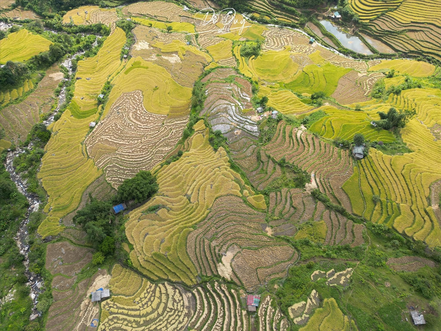 来到道三，游客可以欣赏到美丽的风景。