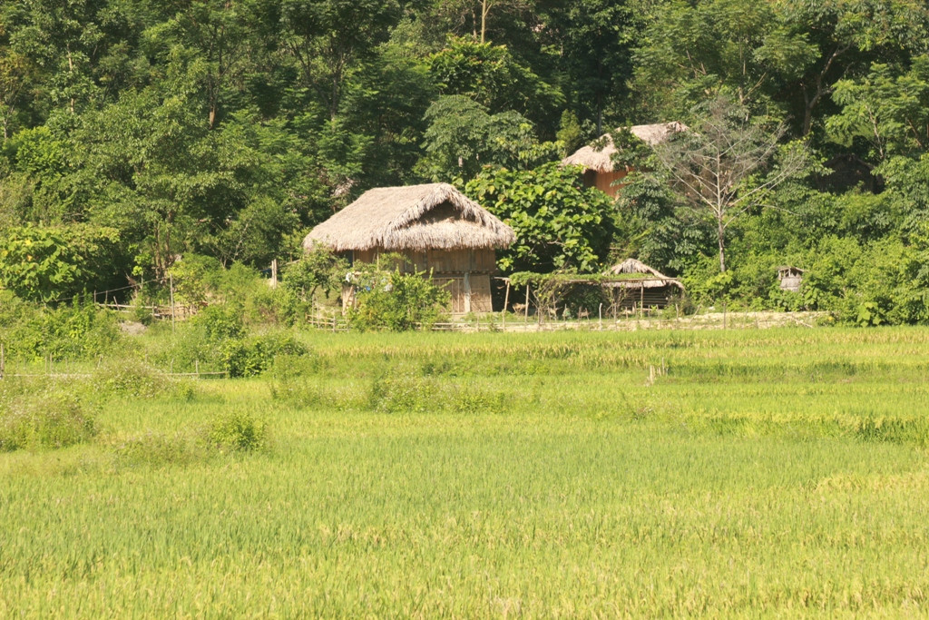 Thai villages lie peacefully under the forest canopy