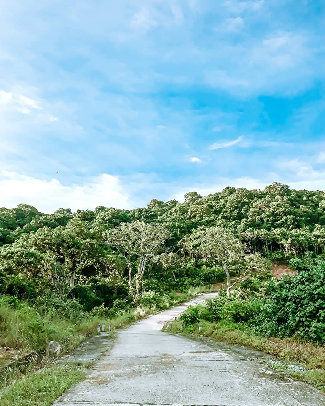 土珠岛