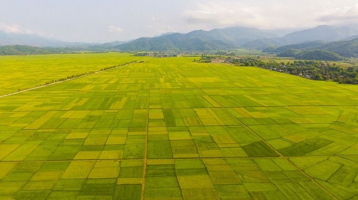 孟青田地。