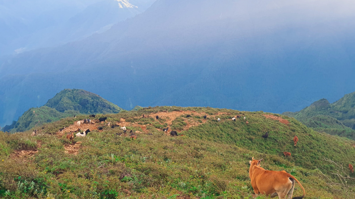 Kinh Nghiệm Trekking Tà Chì Nhù: Những Điều Bạn Cần Lưu Ý