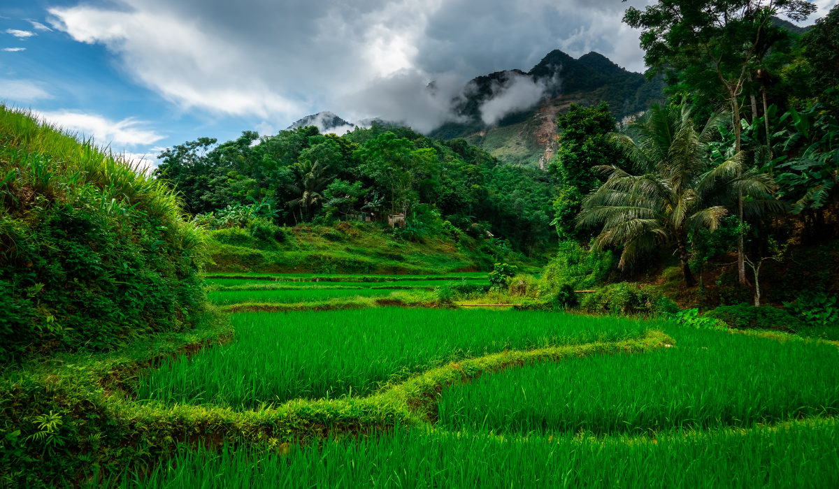 Mai Châu tăng cường công tác quản lý và bảo vệ môi trường