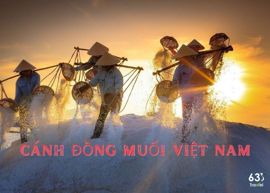 Top 12 most beautiful salt fields in Vietnam that cannot be missed