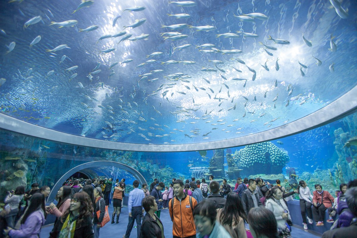 Nha Trang Oceanography Institute