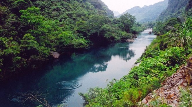 “植物园”中的 Phong Nha - Ke Bang 微缩模型