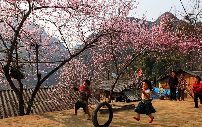 春天来了，道三高原桃花盛开。