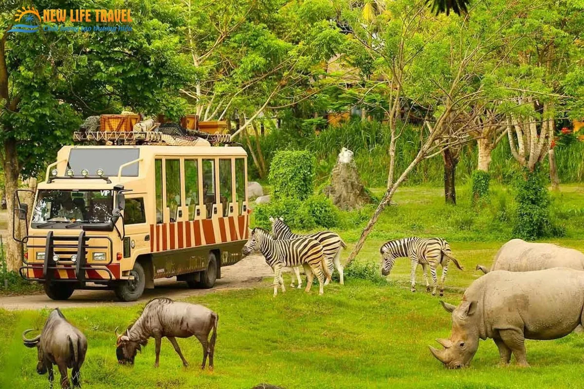 Vinpearl Safari Phu Quoc