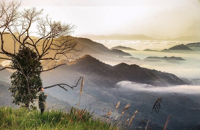 Hunting clouds on the heavenly gate of Muong Long - "Sapa region" in Nghe An