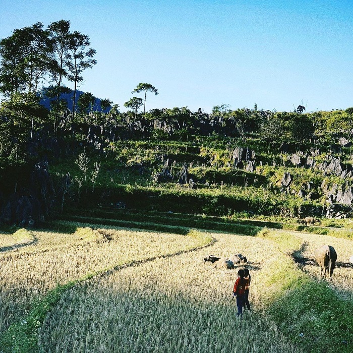 迷失在四面都是岩石的风景中。