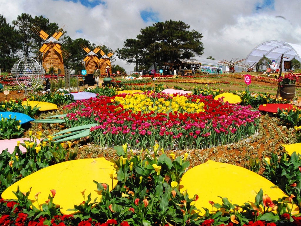 Dalat City Flower Garden