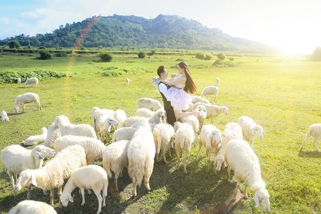 Suoi Nghe Sheep Field