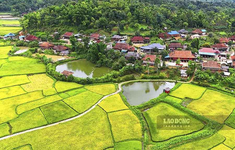 车灿村全景