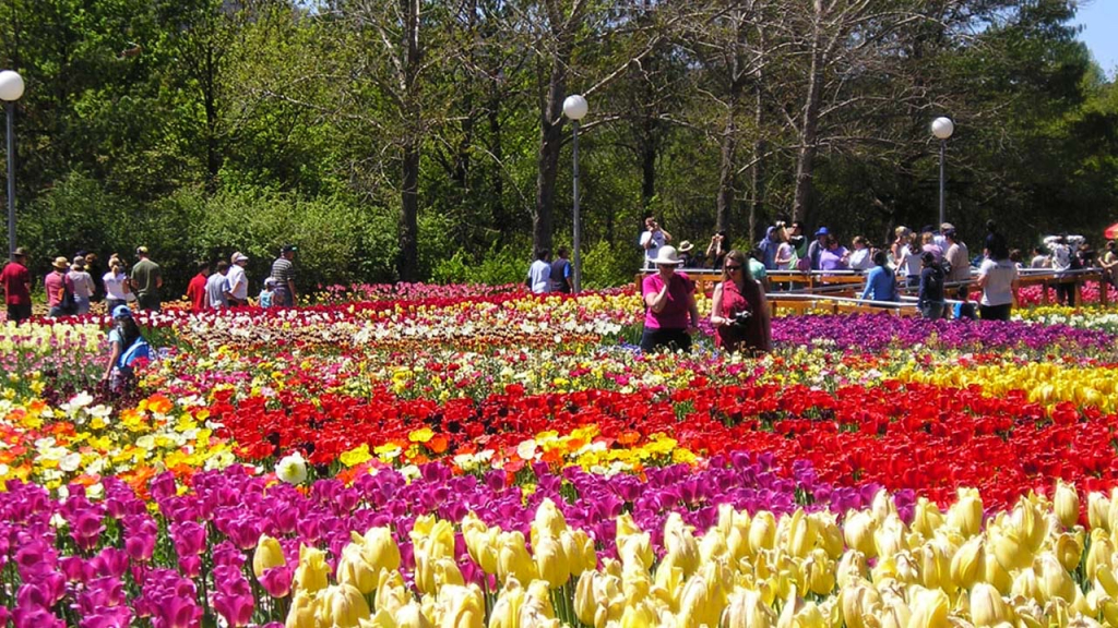 Da Lat Thousand Flowers