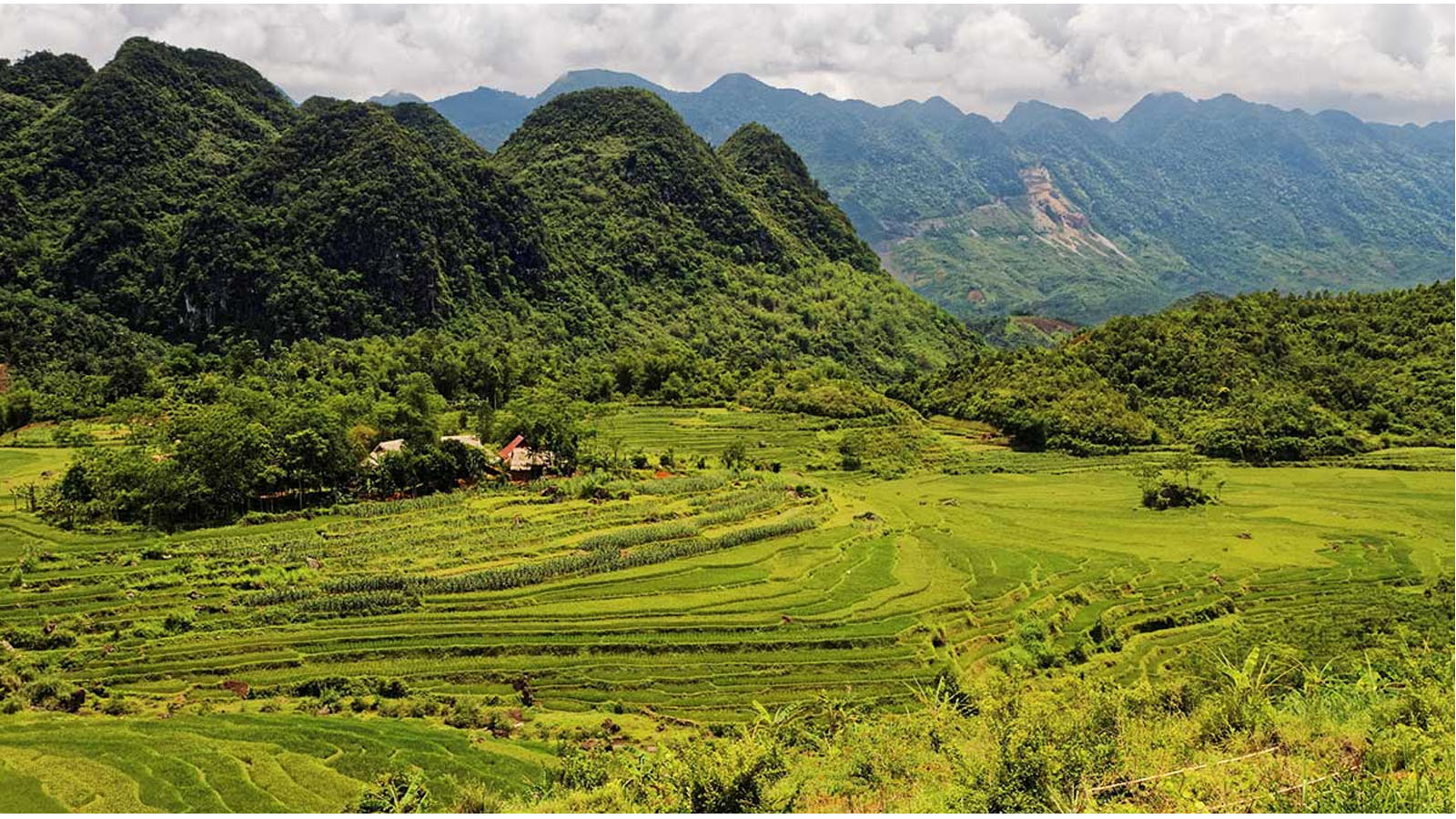 Pu Luong Nature Reserve