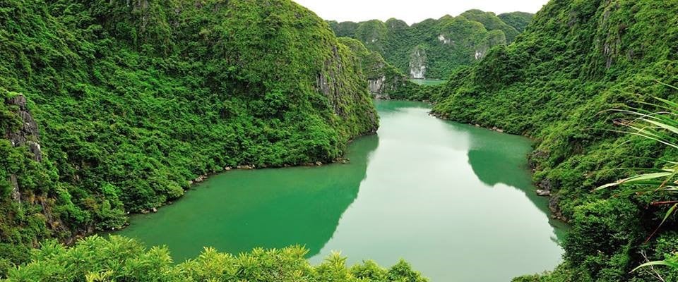 Travel to explore Cat Ba national forest