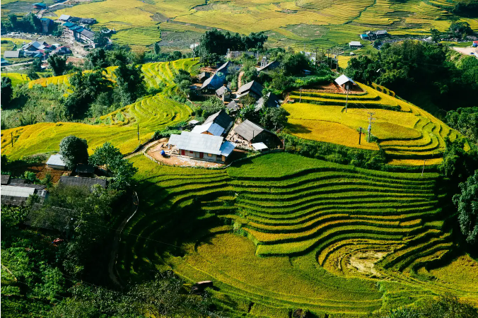 肥沃的梯田点缀着大湾村的美丽景色。