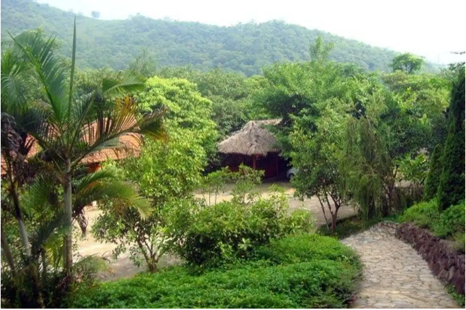 Co Xanh eco-tourism area