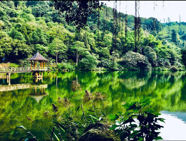 天山水雅。